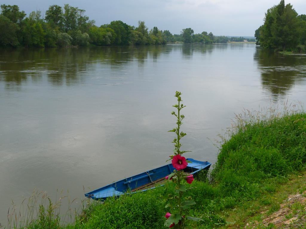 Escale De Loire Bed & Breakfast Chouzé-sur-Loire Eksteriør bilde