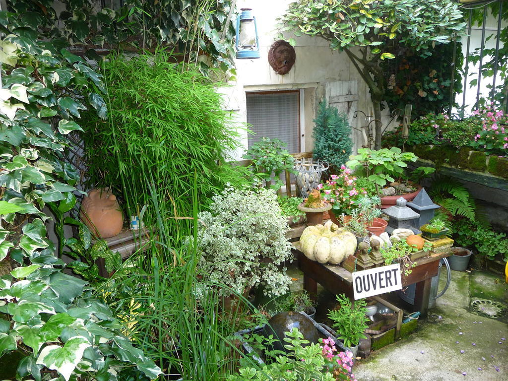 Escale De Loire Bed & Breakfast Chouzé-sur-Loire Eksteriør bilde