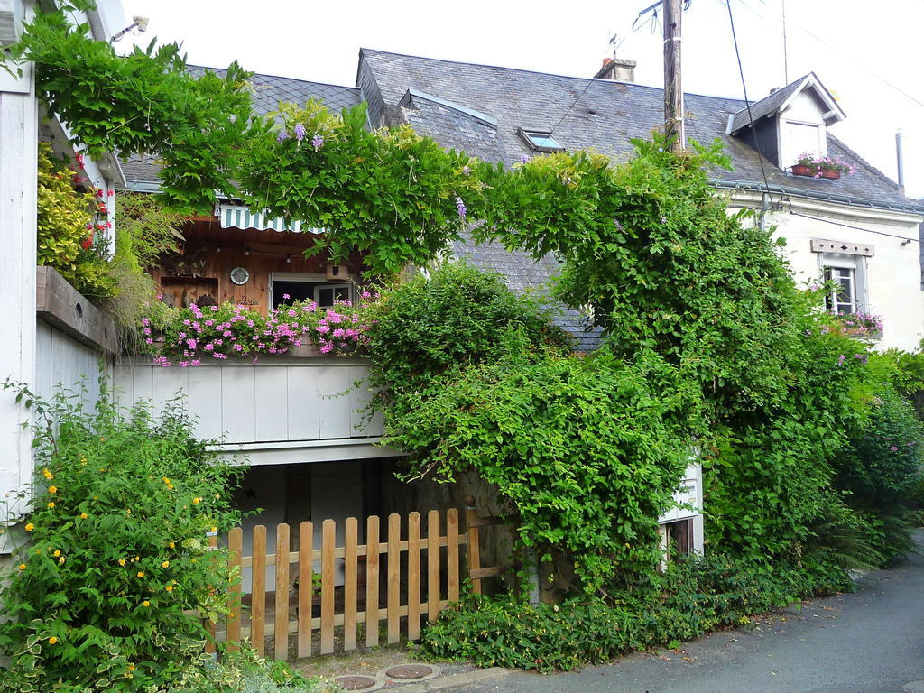 Escale De Loire Bed & Breakfast Chouzé-sur-Loire Eksteriør bilde