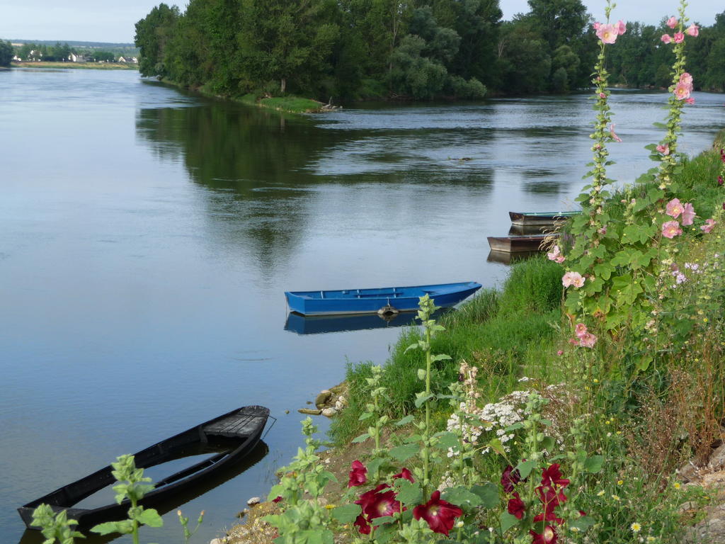 Escale De Loire Bed & Breakfast Chouzé-sur-Loire Eksteriør bilde